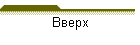 Вверх